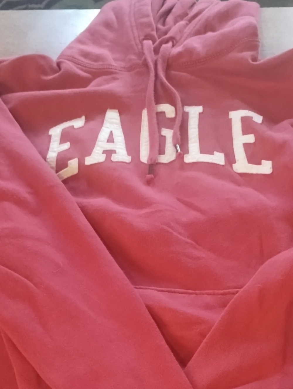 Women's American Eagle Hoodie Sweater Subcategory Classification